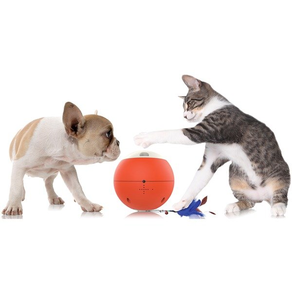 GOSH! Easy Play Robotic Pet Fitness Puzzle