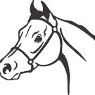 CUSTOM VINYL DECAL HORSE PROFILE