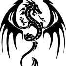 CUSTOM VNYL DECAL DRAGON