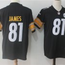Men's Pittsburgh Steelers 81# Jesse James Black Stitched Jersey