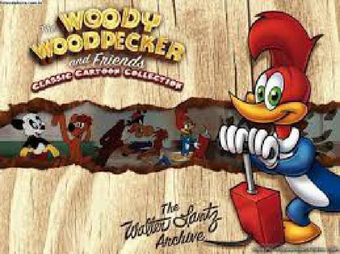 The Woody Woodpecker And Friends Classic Cartoon Collection In Box Set 