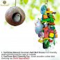 Natural Coconut Husk UNIQUE & Beautiful hanging Nesting Bird House For Cage