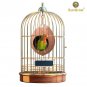 Natural Coconut Husk UNIQUE & Beautiful hanging Nesting Bird House For Cage