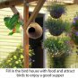 Natural Coconut Husk UNIQUE & Beautiful hanging Nesting Bird House For Cage