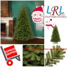 SPECTACULAR National Tree North Valley Spruce Tree perfect Hingd for CRISMAS NEW