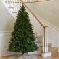 SPECTACULAR National Tree North Valley Spruce Tree perfect Hingd for CRISMAS NEW