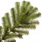 SPECTACULAR National Tree North Valley Spruce Tree perfect Hingd for CRISMAS NEW