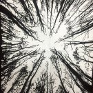 Black & White Tree Bushes Hippie Wall Hanging Ethnic Decorative Indian Dorm Déco