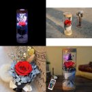 Elegant Lowing Preserved Red Rose in a Glass Fresh Flower Glowing Colorful + RC