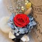 Elegant Lowing Preserved Red Rose in a Glass Fresh Flower Glowing Colorful + RC