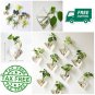 Diamond Wall Hanging Plant Terrarium Glass Planter 2 Pack Pot Patio Lawn Decoy