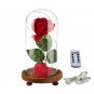 Exclusive "Beauty & the Beast" Red Silk Rose Led Light with a Wooden Base & RC