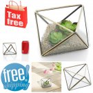Air Plant Display Terrarium Brass Copper Diamond Shape Metal Glass Candle Holder