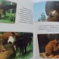 My ABC Masha and the bear No. 14 letter M