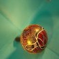 RAIN SHAKER GOURD-HAND DECORATED -PERCUSSION MUSICAL INSTRUMENT-TURTLE