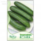 Sweet and Succulent Dutch Cucumber Seeds, Original Pack, 6 seeds