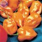 Orange Yellow Habanero Pepper Capsicum Seeds, 28 Seeds, hot chilli ornamental