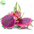 Vietnam Rare Red Dragon Fruit Organic Seeds, Professional Pack, 100 Seeds