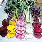 Beetroot Mixed Blood Yellow White Color Vegetable Seeds, 50 seeds