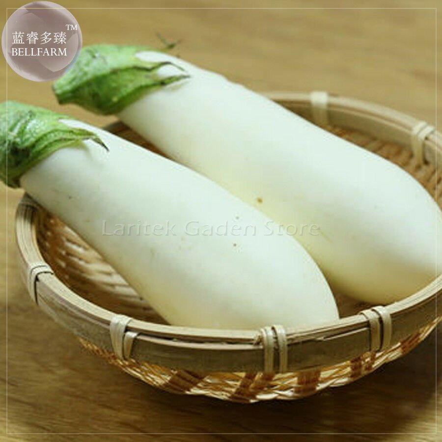Asian White Eggplant Seeds, 100 Seeds, Professional Pack, big organic vegetables