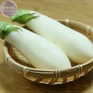Asian White Eggplant Seeds, 100 Seeds, Professional Pack, big organic vegetables