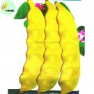 Roma I Yellow Bean Seeds, 15 Seeds, Professional Pack, tasty edible vegetables