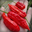 150 pcs Red Bhut Jolokia Seeds Ghost Pepper Naga Jolokia HOT Chilli