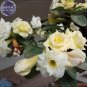 Adenium White Yellow Bonsai Tree Flower Seeds, 2 seeds, 4-layer desert rose
