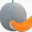 20PCS Japan Fruit Cantaloupe Melon Seeds Original Superior Honey Dew