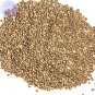 80 Seeds / Pack, Big Red Round Radish Chinese Heirloom Vegetable Organic Seed