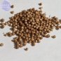 Coriander Heirloom Chinese Parsley Seeds, 150 Seeds