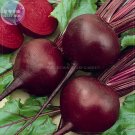 Dark Red Beet Organic Seeds, 50 Seeds sweet tasty blood red flesh vegetables