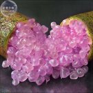 Rose Pink Bliss Finger Lime Plant Seeds, 10 seeds