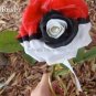 Rare White Black Red Tri-color Rose with white eye, 50 Seeds