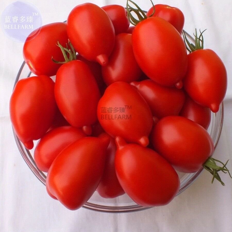 Imported Tomato Seeds, 100 Seeds, Professional Pack