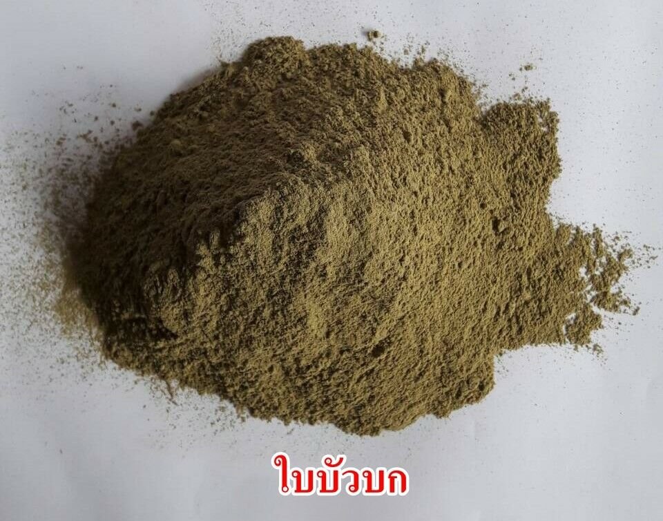 1 kg 2.2 lb Centella asiatica (Gotu kola) Powder Premium Grade Herbs Free Ship