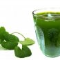 1 kg 2.2 lb Centella asiatica (Gotu kola) Powder Premium Grade Herbs Free Ship