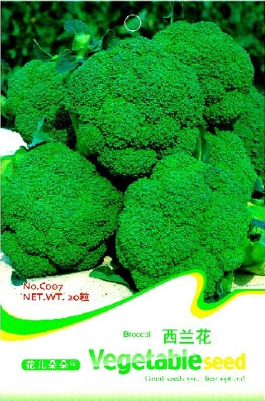 Organic Green Broccoli Vegetable Seeds, Original Pack, 20 Seeds