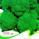 Organic Green Broccoli Vegetable Seeds, Original Pack, 20 Seeds