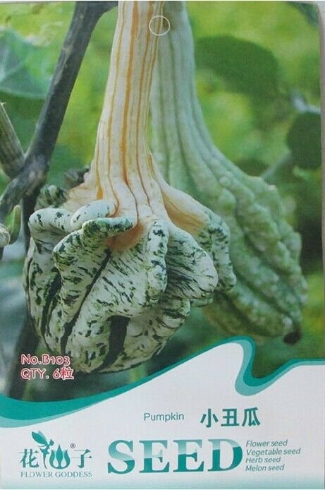 Original Pack, 6 seeds / pack, Ugly Ornamental Pumpkin Seeds