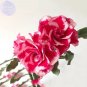 Adenium 'Tea' Types Red White Flower Seeds, 2 seeds, 7-layer big blooms bonsai