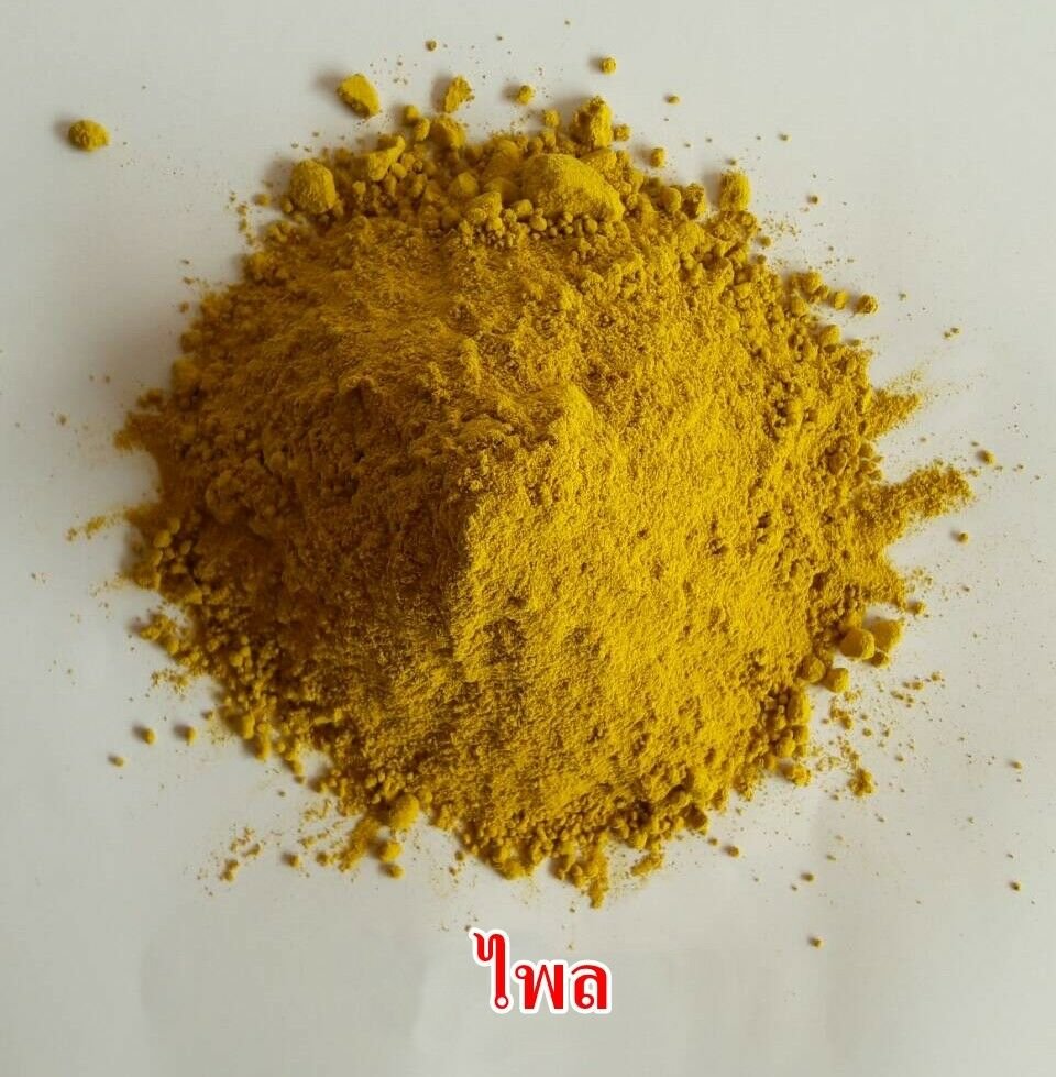 1 kg Zingiber Cassumunar ginger, Bengal root , Phlai , powder pure natural 100%