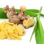 1 kg Zingiber Cassumunar ginger, Bengal root , Phlai , powder pure natural 100%