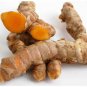 1 kg Curcumin powder Turmeric extract root Curcuma longa powder pure 100%