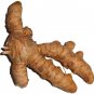 1 kg Curcumin powder Turmeric extract root Curcuma longa powder pure 100%