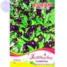 Mini Pepper Purpe Capsicum Var. Cerasiforme Irish Seeds, 25 Seeds
