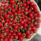 Large Red Cherry Sweet Pepper, 20 seeds, tasty organic vegetables