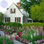 Mixed Foxglove Seeds, 200 seeds, professional pack, perennial gorgeous