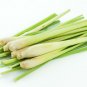 1000 g 2.2 Lb Lemon grass powder natural 100% pure free shipping from thailand