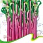 40 Seeds Red Chinese Cabbage Seeds Sauteed Chinese Kale Vegetables Organic Seeds
